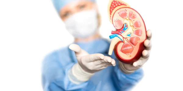 Transplant de organe FOTO SHUTTERSTOCK