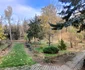 Grădina Botanică Prăjești noiembrie 2023 FOTO MA
