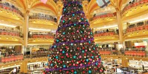 Pomii împodobiţi din marile centre comerciale pot fi o alternativă pentru cei care vor să se bucure de spiritul Sărbătorilor de iarnă