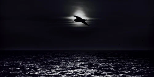 Marea Neagră FOTO Ovidiu Oprea (7) jpg