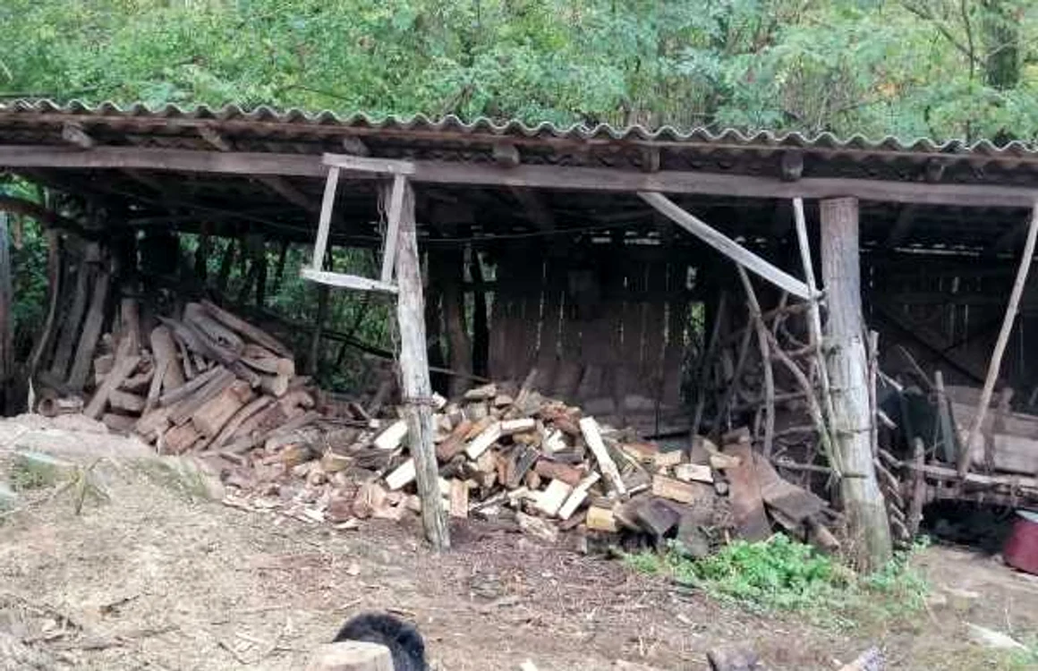 femeie alba ceru bacainti
