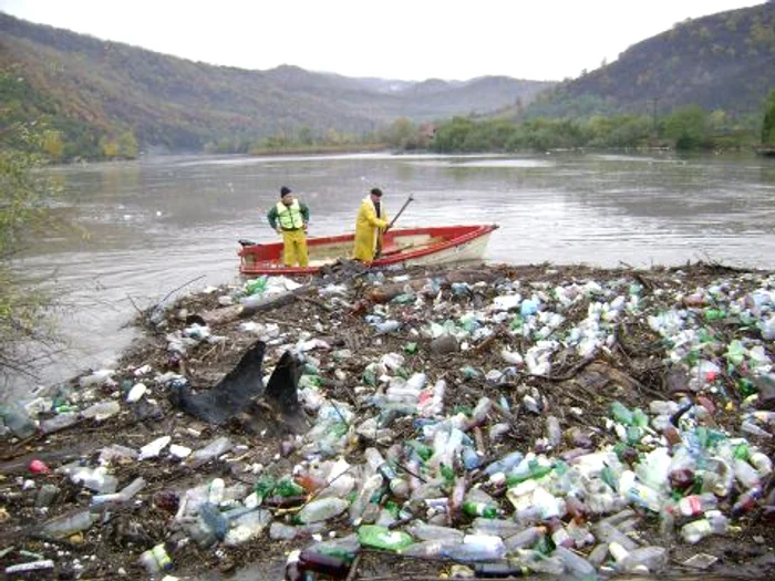 Reprezentanţii Apelor Române Caraş adună PET-urile din Golful Cerna