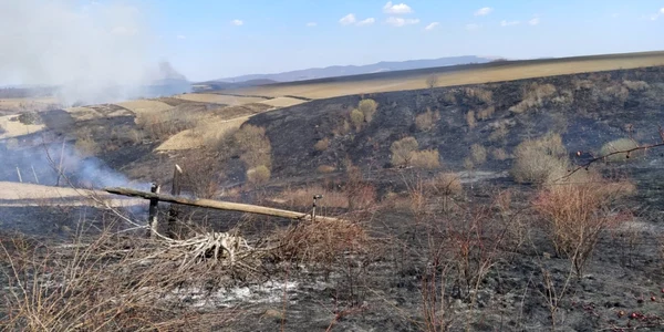 incendiu vegetatie Bacau FOTO Lucian Bogdanel 1
