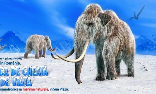 1 71655 original jpg jpeg