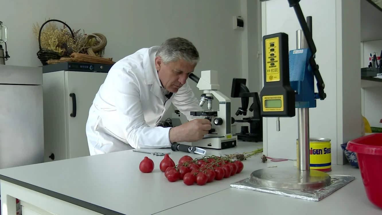 Costel Vânătoru spune că forţarea tomatelor este în detrimentul gustului