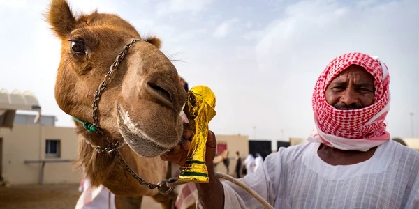 Camel jpg