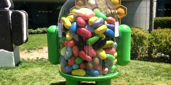 jelly bean