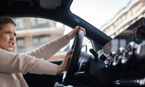 shutterstock 2313628131 jpg