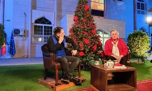 florin piersic dan negru JPG