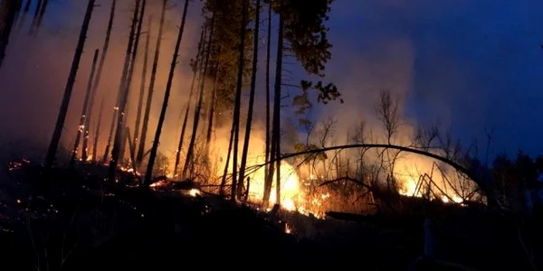 incendiu padure pietrosita