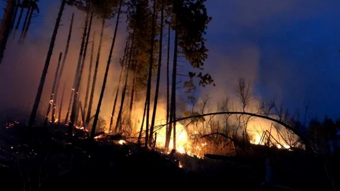 incendiu padure pietrosita