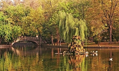 1 59948 original jpg jpeg