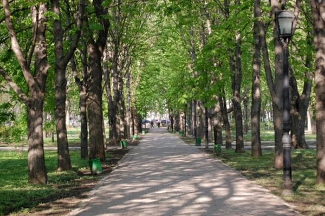 gradina publica