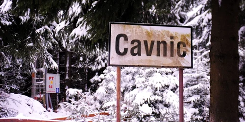 cavnic