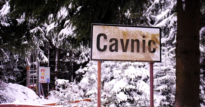 cavnic
