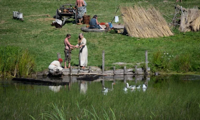 viking dna reveals hiv resistant gene 1 webp