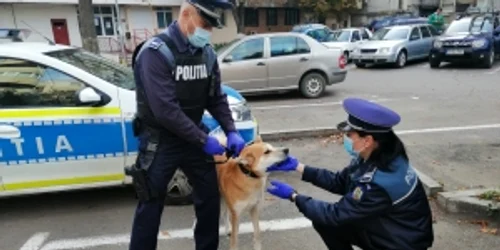 buzau