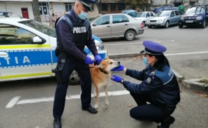 Sursa IPJ Buzău