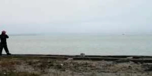 5df09a615163ec4271e8687c jpg