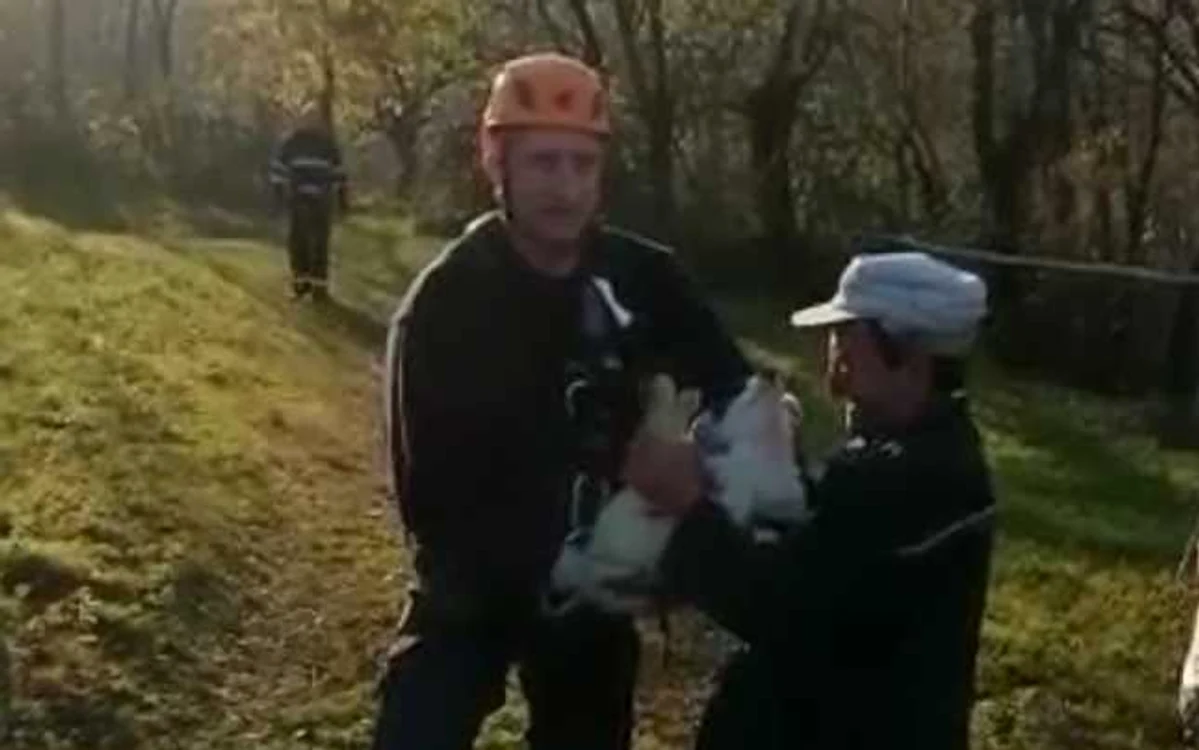 Câinele a fost salvat de către pompieri