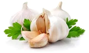 usturoiul jpg 1 jpeg