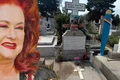 banner stela popescu png