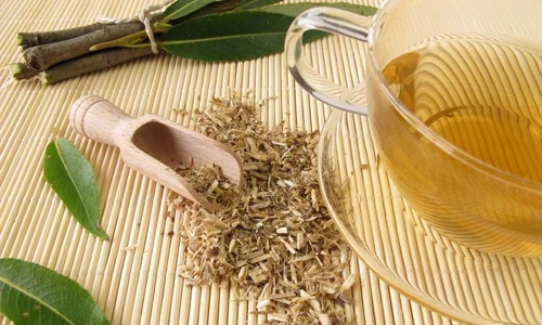 1 shutterstock 114681442 jpg jpeg