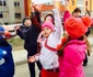 sebes protest poluare