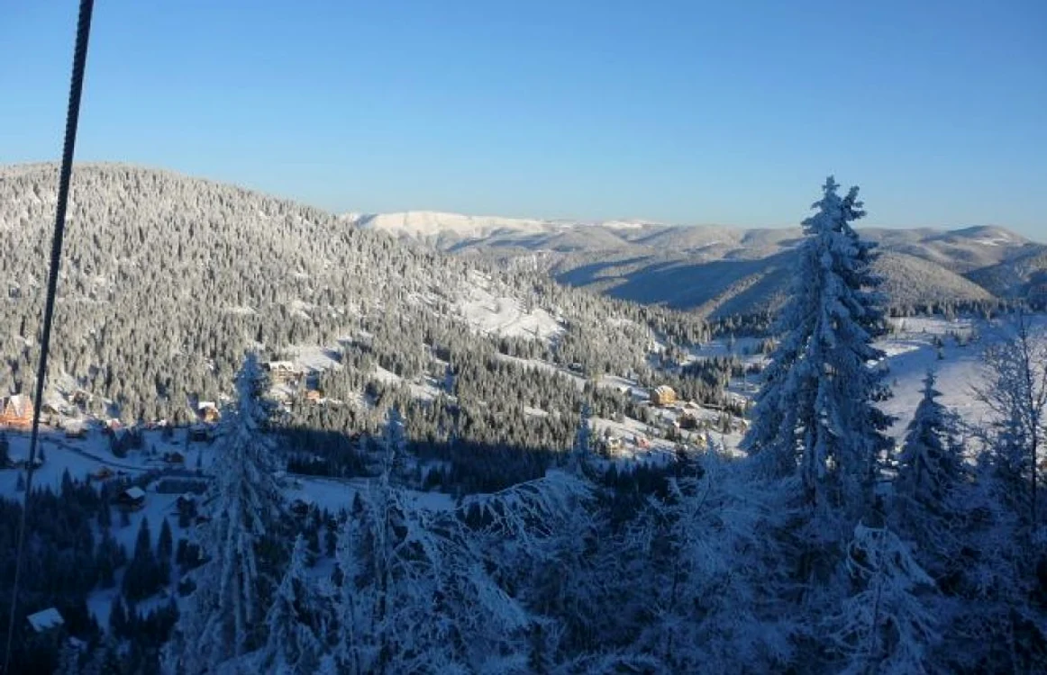 Accidentul a avut loc in satul de vacanţă Vârtop din Apuseni