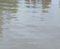 inundatii salaj