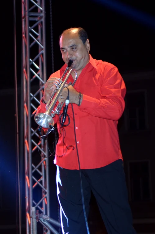 Fanfara Ciocarlia