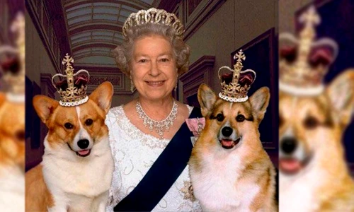 1 83858 original jpg jpeg