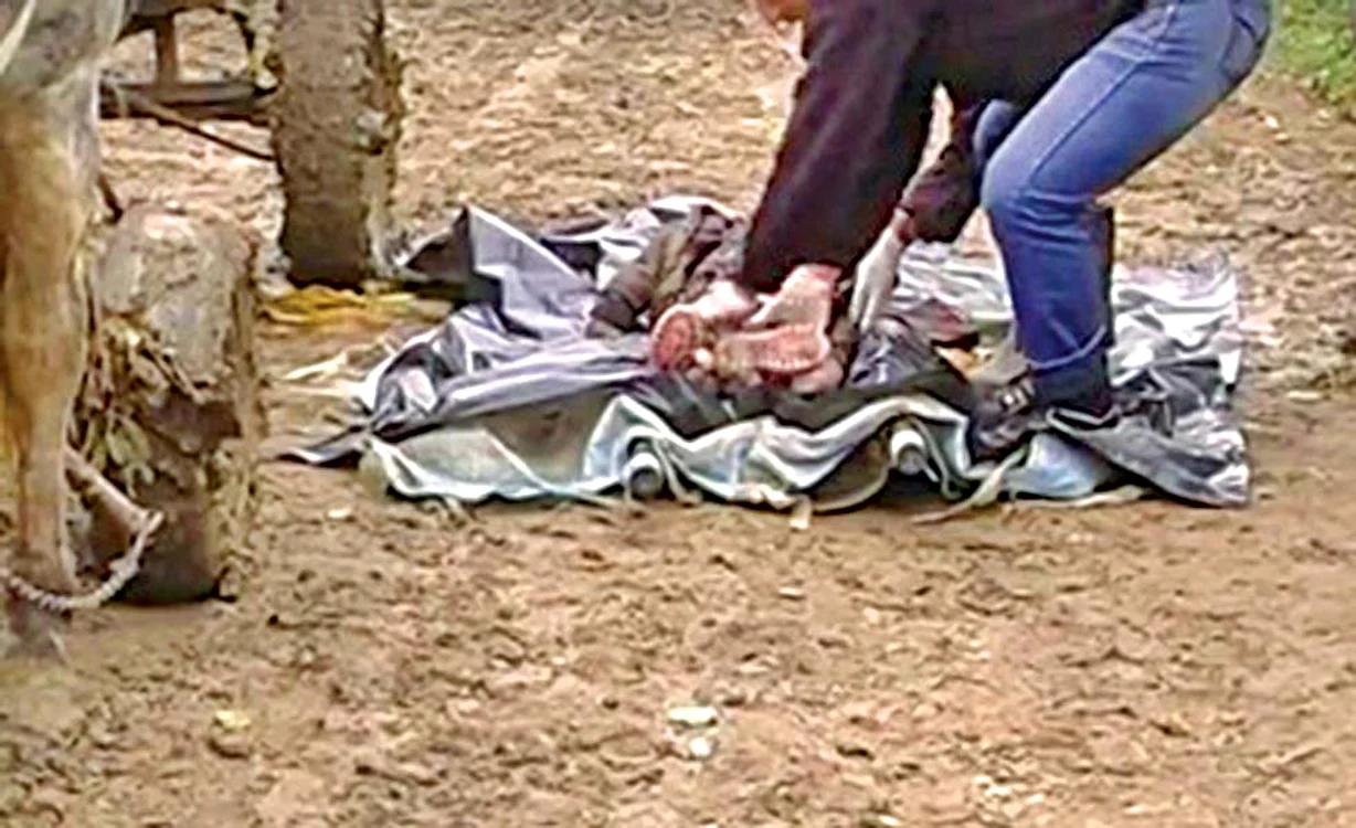 
    Cadavrele fetiţelor au fost găsite marţi  
