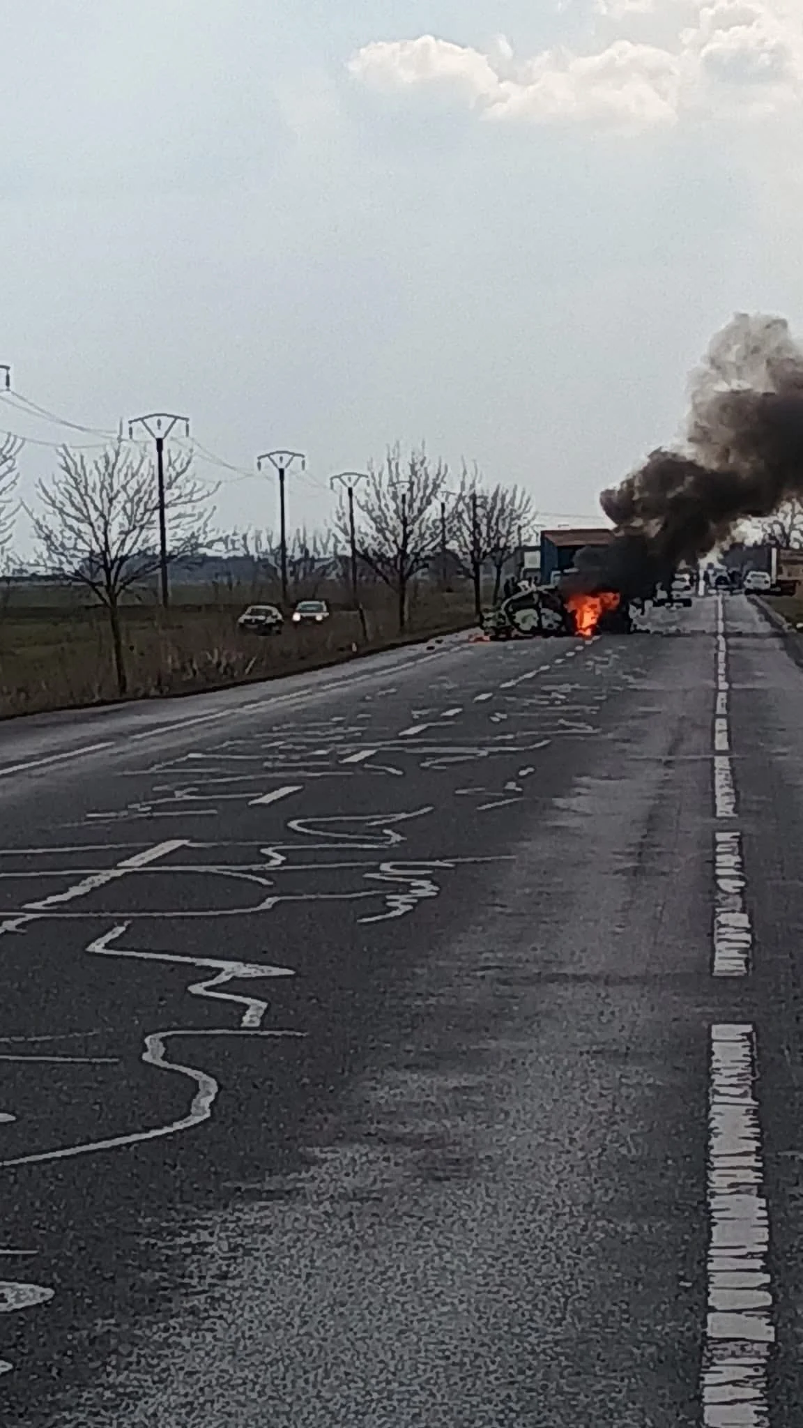 Două persoane au murit într-un accident pe E85, la Mihăileşti. O mașină a luat foc după impactul cu o autoutilitară