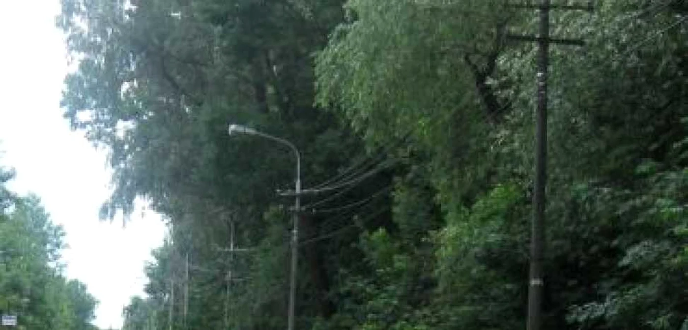 Suceava: Sute de locuitori au rămas fără curent din cauza precipitaţiilor