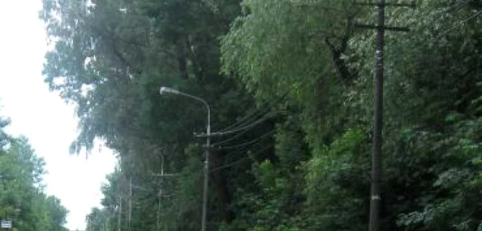 Suceava: Sute de locuitori au rămas fără curent din cauza precipitaţiilor