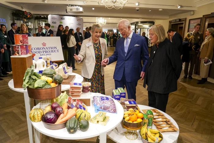 Regele Charles, profimedia 1053563574 jpg