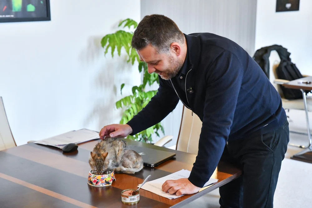 Ciprian Ciucu a adoptat o pisică rănită, care va locui în biroul său de la Primăria Capitalei