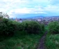 Dealul Sânpetru din Hunedoara Foto Daniel Guță ADEVĂRUL (8) jpg