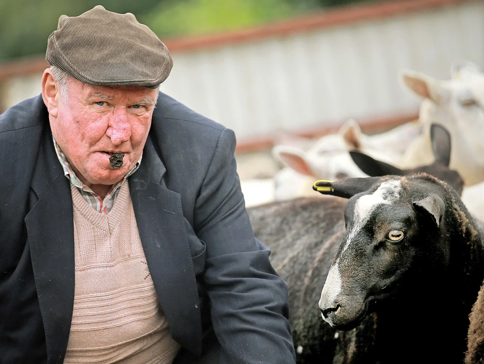 
    Concurenţii nu  s-au plâns de  gustul căcărezelorFoto: Guliver/Rexfeatures  