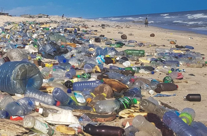 Marea de gunoi jpeg