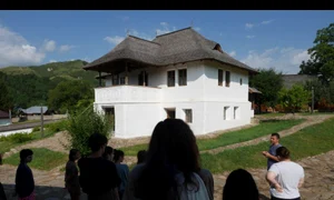 Rafinament rural bucureștean jpeg