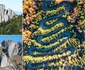 Drumul din Muntii Ciucas Foto Lucian Ignat jpg