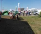 agromalim