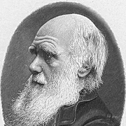 Darwin University of Texas Portrait Gallery  jpg