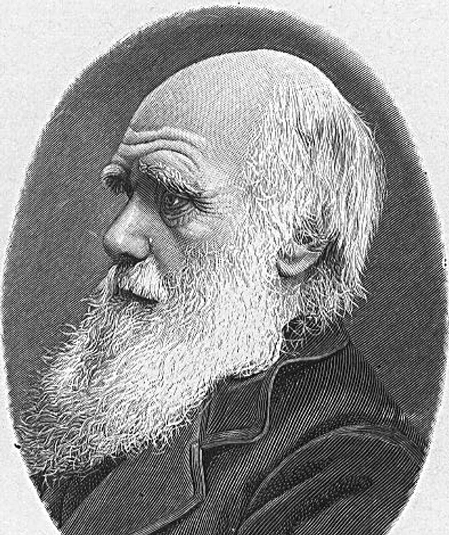 Charles Darwin. FOTO University of Texas Portrait Gallery / Sursă: Wikipedia