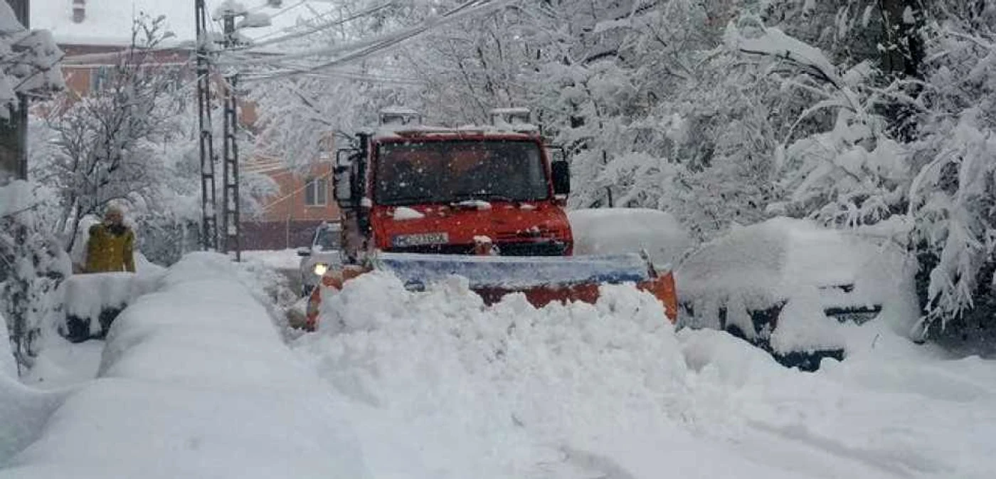 zalada ninsori deszapezire iarna