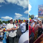 marsul normalitatii foto captura video facebook diana sosoaca png