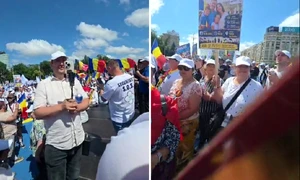 marsul normalitatii foto captura video facebook diana sosoaca png