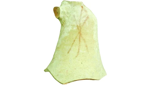 Vasul cu monogramă creștină de la Carsium jpeg